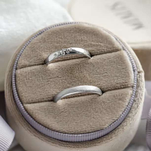 Close-up of LEOS platinum wedding rings with diamonds and matte finish