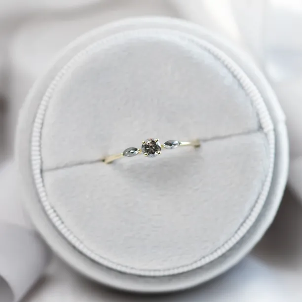 Top view of salt and pepper diamond ring RINA