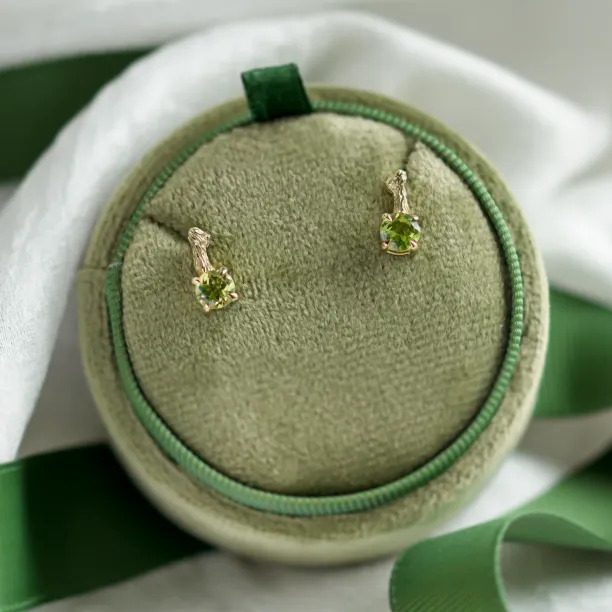 Stud earrings with peridot and twig DEAN Image