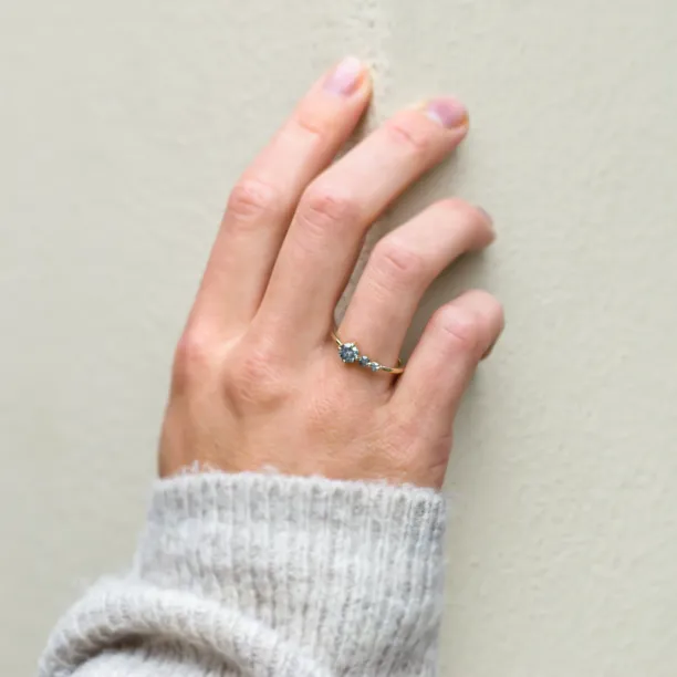 Gold ring with salt and pepper diamond SUE Image