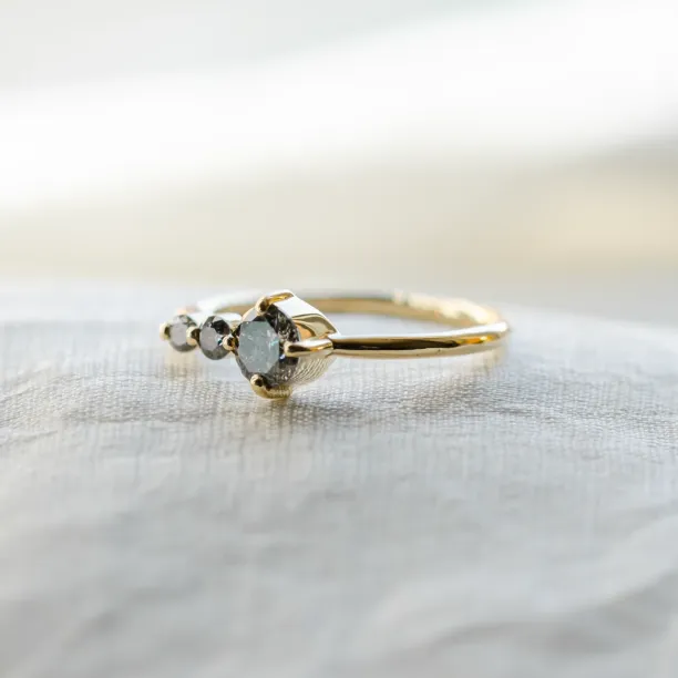 Gold ring with salt and pepper diamond SUE Image