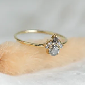 Close-up of the DAF gold ring with salt and pepper diamonds