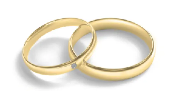 Matt white gold wedding rings with diamond D-SHAPE MOAB Thumbnail