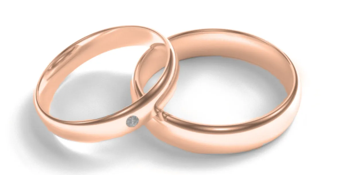 Matt white gold wedding rings with diamond D-SHAPE MOAB Image