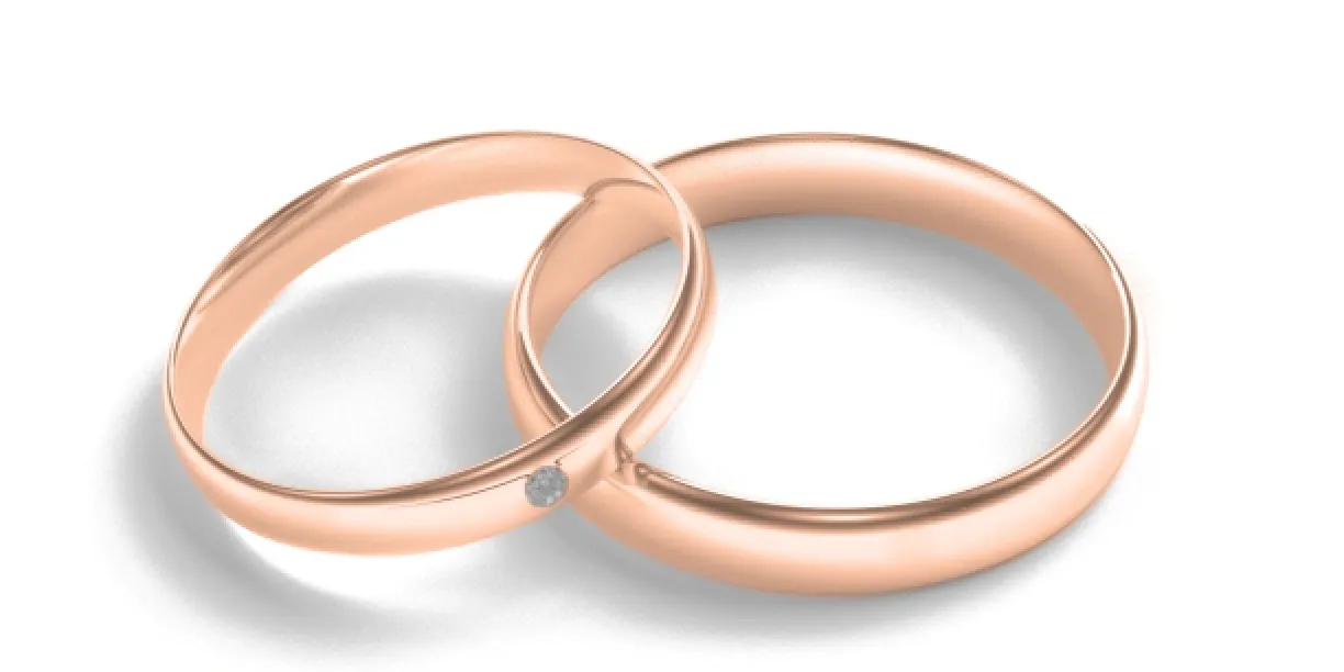 Matt white gold wedding rings with diamond D-SHAPE MOAB Image