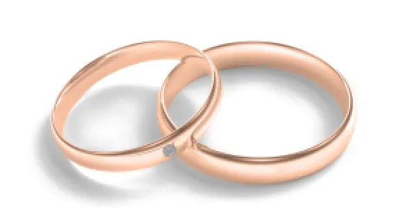 Matt white gold wedding rings with diamond D-SHAPE MOAB Thumbnail