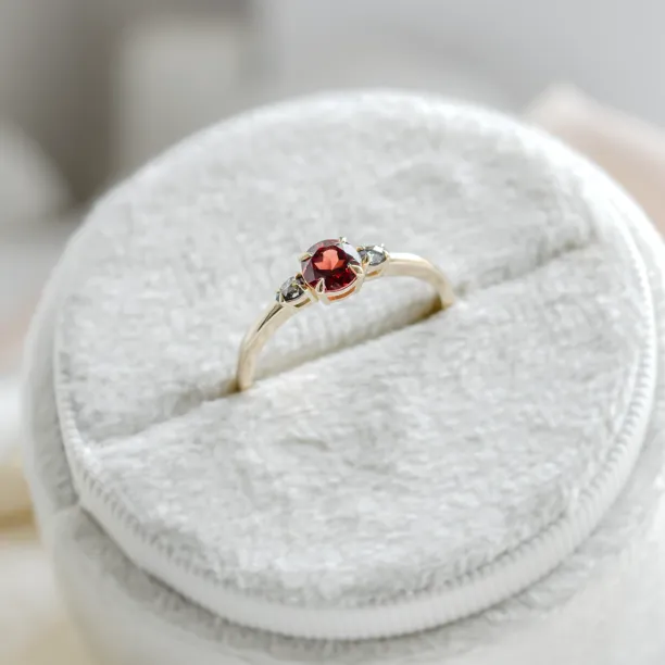 Gold ring with garnet and salt and pepper diamonds DRAGON Image