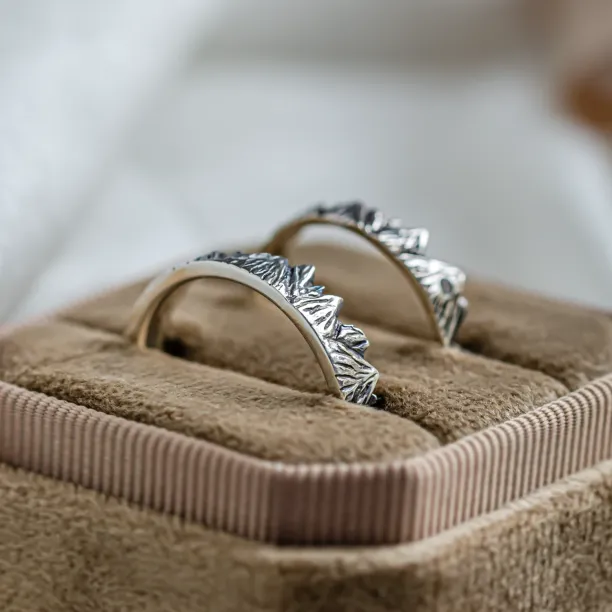 SILVRETTA wedding rings shown from the interior, with mountain relief along the edges