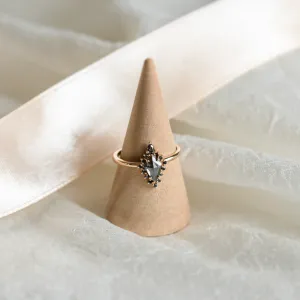 Zlatý prsten DOME se salt'n'pepper diamanty na stojánku