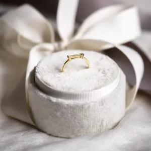 Side view of CASSIA engagement ring showing the baguette moissanite