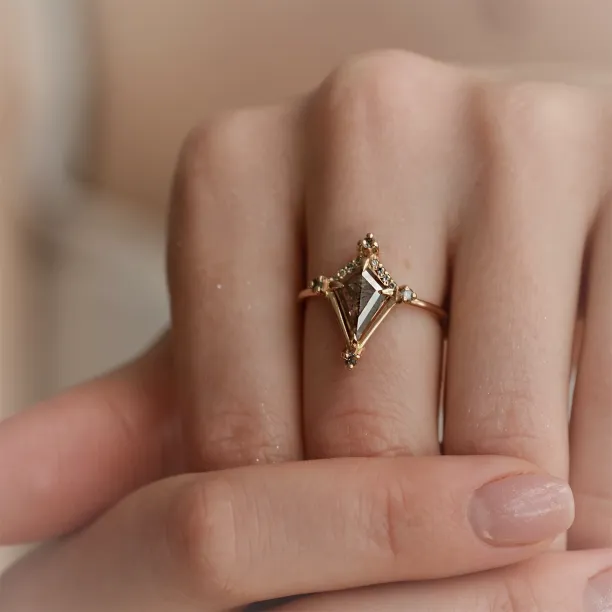 Extravagant ring with salt and pepper diamonds ORNETTE Image