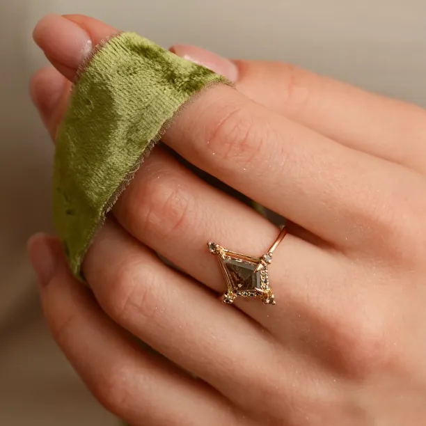 Extravagant ring with salt and pepper diamonds ORNETTE Image