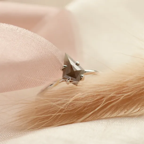 Minimalist ring with kite salt'n'pepper diamond GIUDITTA Image