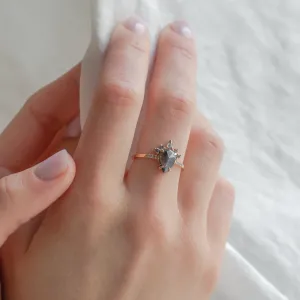 Gold cluster salt'n'pepper diamonds ring FILOMENA Thumbnail