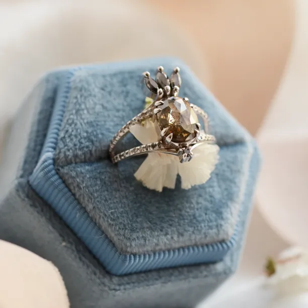 Salt and pepper diamonds in luxury ring RABBIT Image