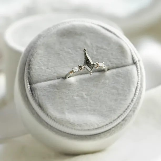 Kite salt and pepper diamant ve zlatém prstenu s baguette diamanty ARIANNA Image
