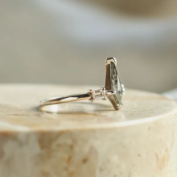 Kite salt and pepper diamant ve zlatém prstenu s baguette diamanty ARIANNA Image