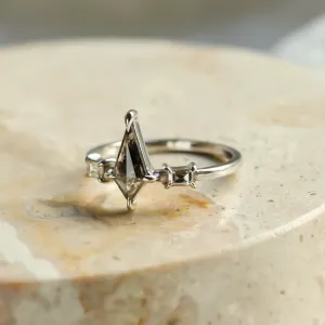 Kite salt and pepper diamant ve zlatém prstenu s baguette diamanty ARIANNA Thumbnail