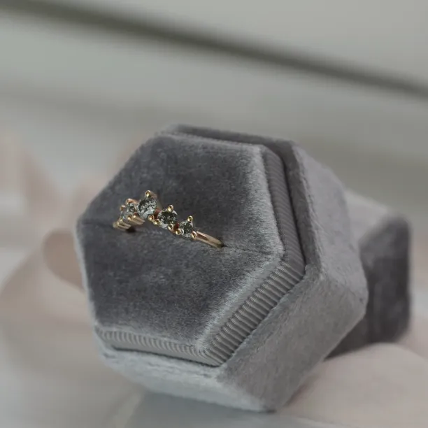 Slightly curved salt and pepper diamond ring FERO Image