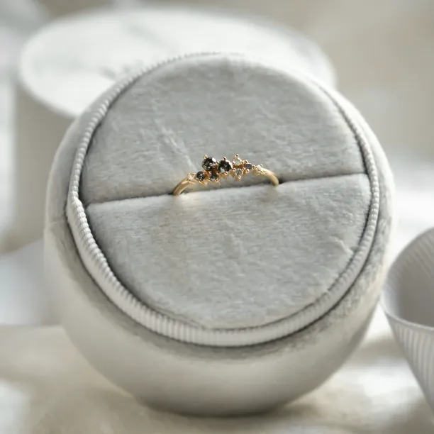 Zlatý prsten s diamanty salt and pepper CLARA Image