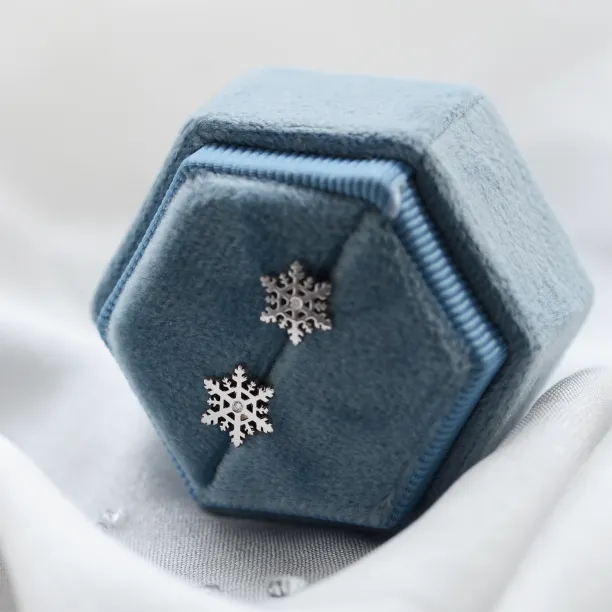 ARIANA silver earrings with a diamonds Image