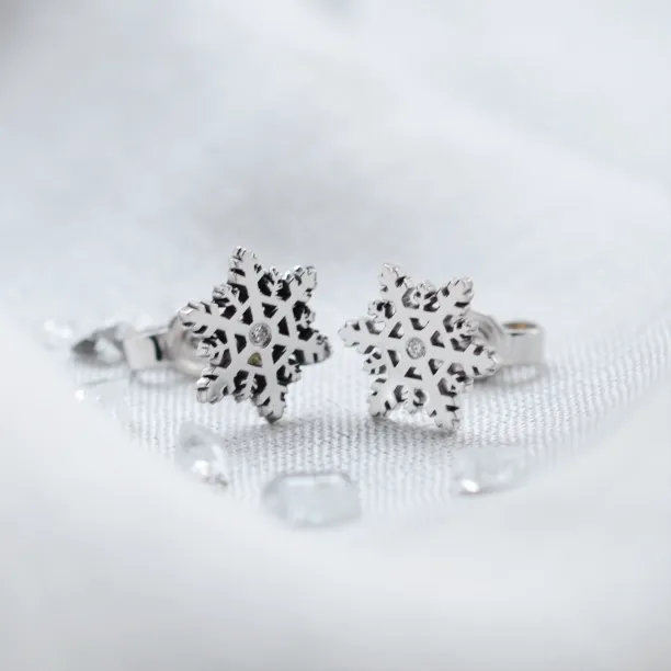 ARIANA silver earrings with a diamonds Image