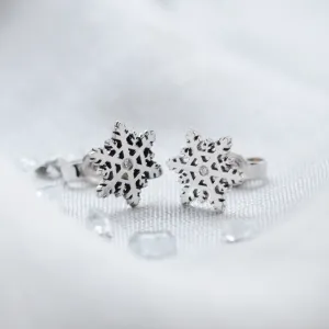 ARIANA silver earrings with a diamonds Thumbnail