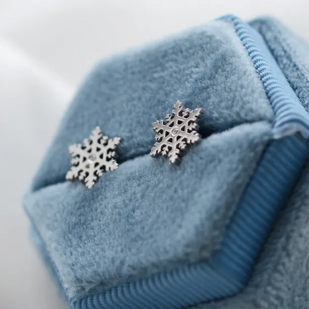 ARIANA silver earrings with a diamonds Image