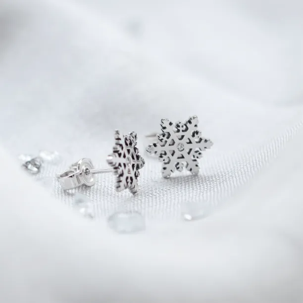 ARIANA silver earrings with a diamonds Image