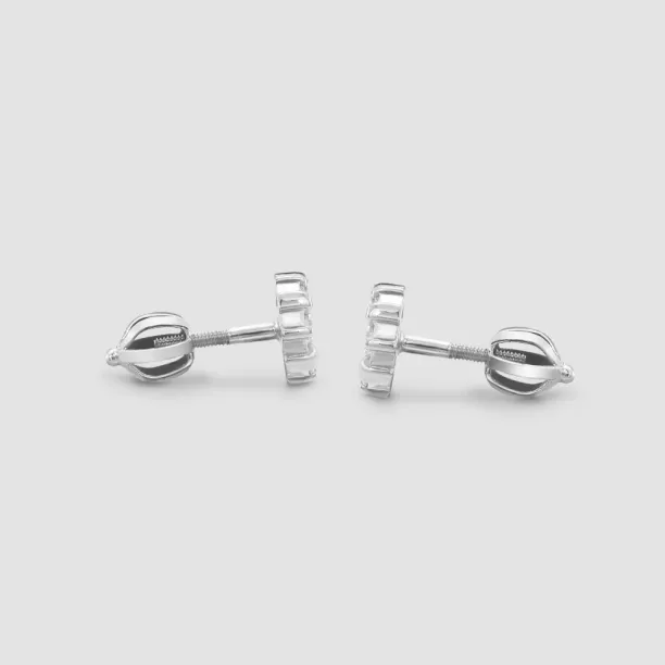GRACI classic silver zirkons earrings Image