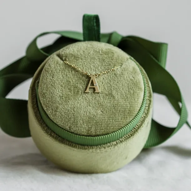 Zlatý náhrdelník s písmenkem a diamantem VERTE Image