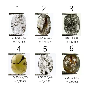 WINNIE ring gemstone chart showing six numbered salt and pepper diamonds